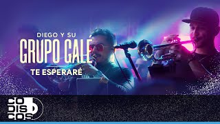 Te Esperaré, Grupo Galé, Diego Galé - Video Live