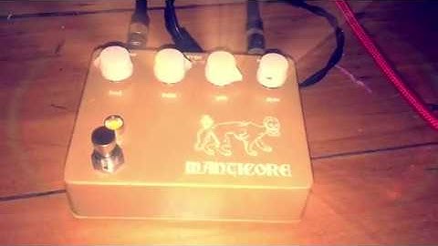 Proanalog Devices Manticore Tones and the Universal Audio Ox Amp Top Box