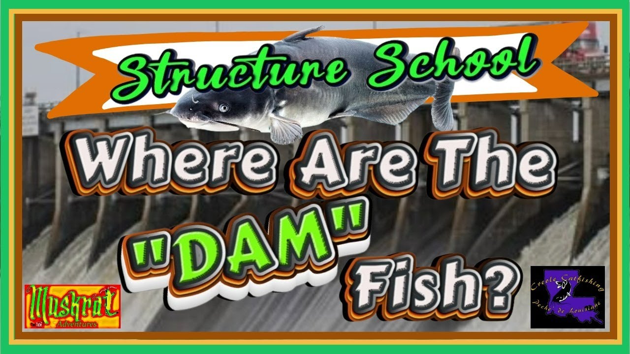 Chat with the Muskrat and Creole Catfishing 74 STRUCTURE SCHOOL, Where
