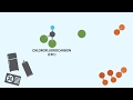 Ozone the good the bad and the cfcs  california academy of sciences