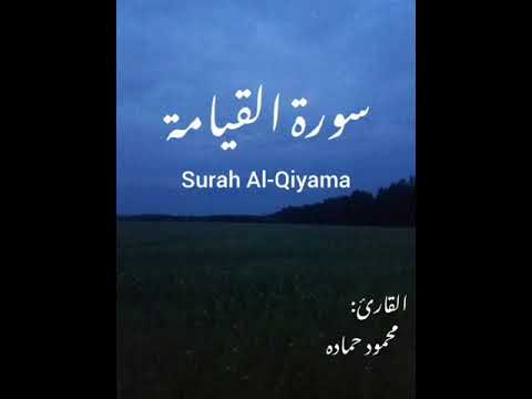 سورة القيامة بصوت القارئ محمود حماده