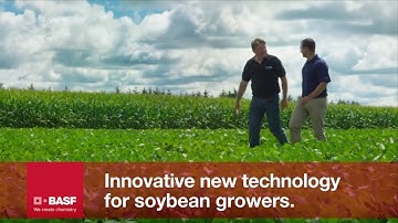 Kixor Herbicides: Innovative new technology for soybean growers | BASF