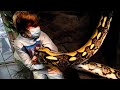 12 YEAR OLD SNEAKS INTO MY 20 FOOT SNAKES CAGE!!! | BRIAN BARCZYK