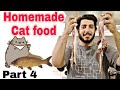 Homemade Cat Food | persian cat food recipe |how to make cheap homemade cat food at home |part 4|