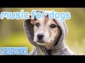 No ads music for dogs fastacting dog relaxation therapy sounds