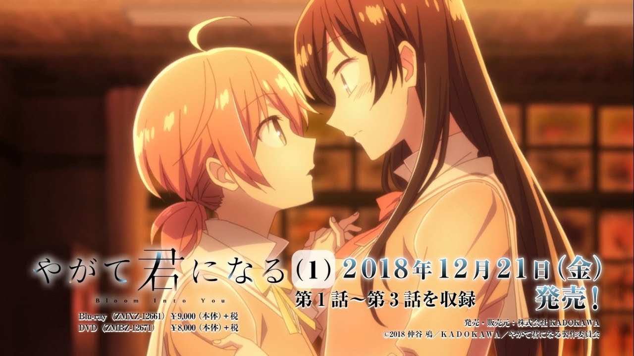 最新情報 Tvアニメ やがて君になる 公式サイト