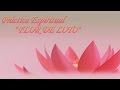 La meditación Flor de Loto. Meditación básica. Practica Espiritual