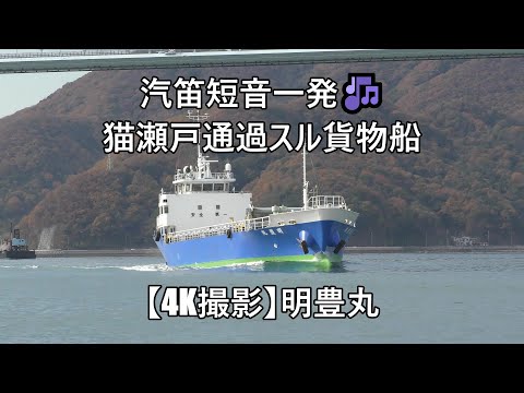 汽笛短音一発🎶猫瀬戸通過スル貨物船【4K撮影】明豊丸 - YouTube