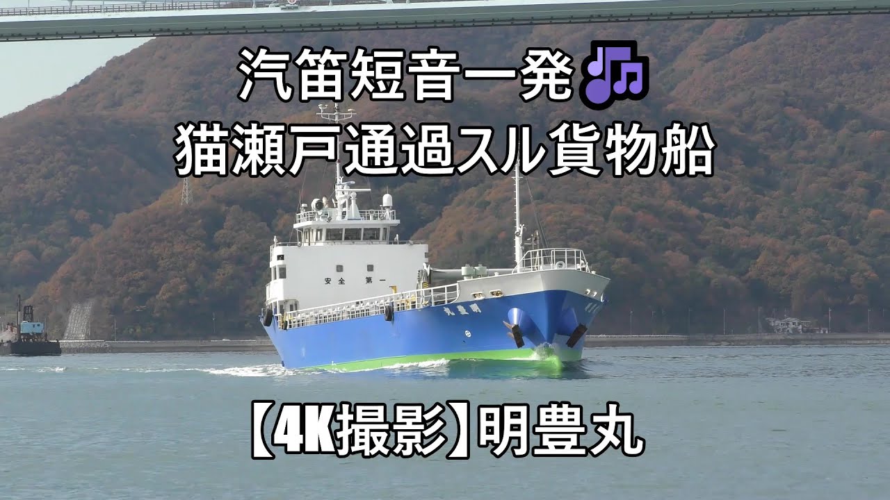 汽笛短音一発🎶猫瀬戸通過スル貨物船【4K撮影】明豊丸 - YouTube
