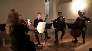 Fabio Bussola  - Quintetto G.  Donizetti