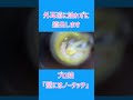 壁にはノータッチ #耳垢 #耳掃除 #shorts