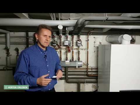 Wie effizient ist Ihre Heizung? Vdz Formular Heizungscheck für bessere Energieeffizienz