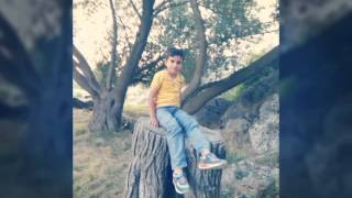 Haymanali Mehmet Doğan Dılo Dılo