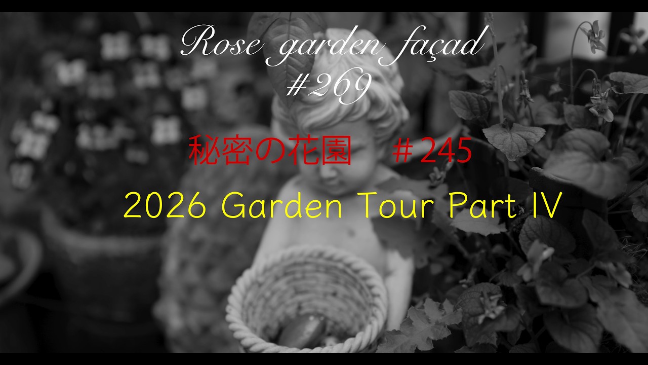 さくらとなつのお庭☆ページ rose garden façad] #269 [秘密の花園] #245 2026 GardenTour IV - YouTube
