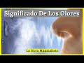 👃SIGNIFICADO EMOCIONAL y ESPIRITUAL de los OLORES de la CASA: HÚMEDAD, INCIENSO, ENFERMEDAD, CIGARRO