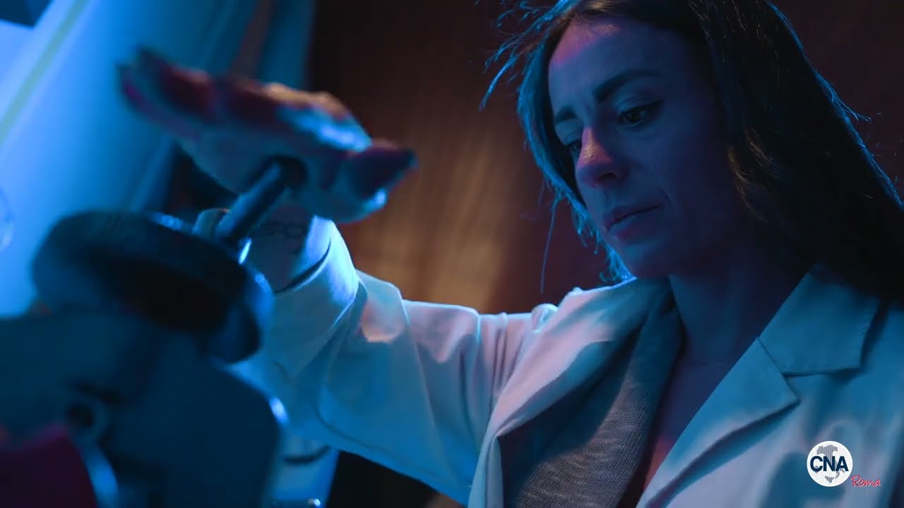 Viaggio nell'Artigianato