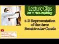3-D Representation of the three Semicircular Canals #physiology