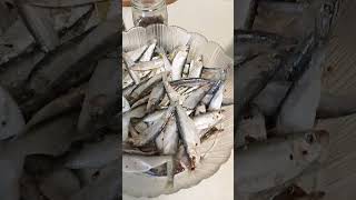 Засолка кильки...вкуснее чем в магазине!!!