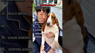 Best Of Dogs Looking Like Their Owner