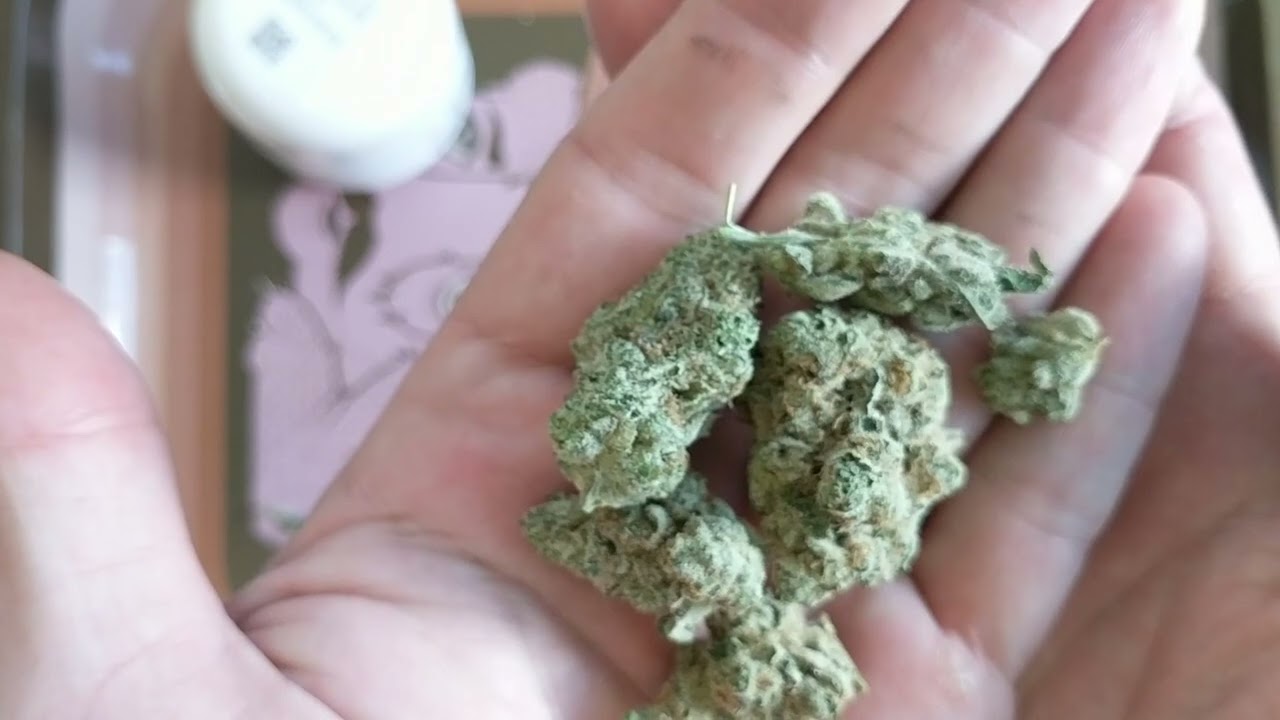 Mandarin Cookies 27% Trulieve Eustis