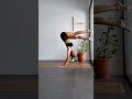 Flexibility Easy Stretch Yoga Flow #gostretchyourself #shorts