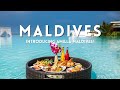 Introducing amilla maldives  maldives wise