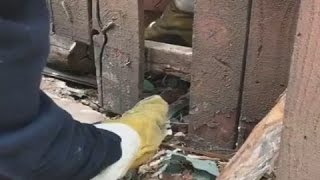 Firefighters save handful of trapped kitten