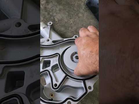 Stay away from Gates water pumps...