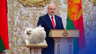 Лукашенко назначит свою собаку президентом / Новинки