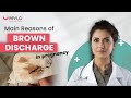 Brown discharge in early pregnancy hindi  brown discharge during pregnancy  mylo app