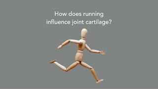 How does running influence joint cartilage?