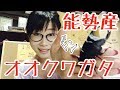 能勢産オオクワガタ！増えました