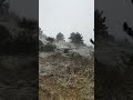 Nesvakidašnji prizor: Vatrogaci gase požar, a snijeg pada