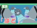 はと ♪【童謡・唱歌】ぽっぽっぽ はとぽっぽ まめがほしいかそらやるぞ~歌詞付きアニメーション/Japanese kids song