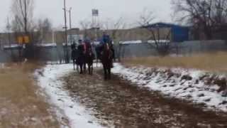 20150130 100148