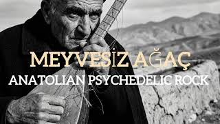 Meyvesiz Ağaç - Aşık Gülabi (Anatolian Psychedelic Rock Cover)