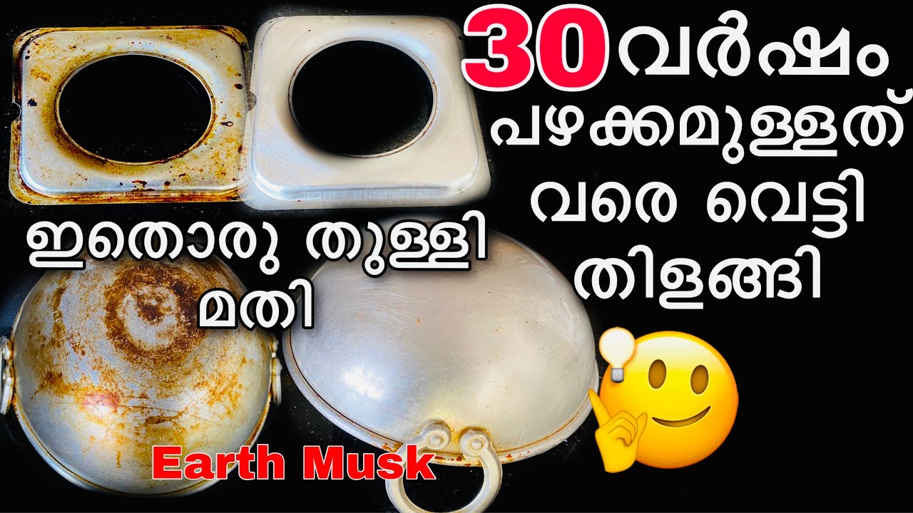 "വീട് ഇനി വെട്ടി തിളങ്ങും/Kitchen Tips/Earth Musk Cleaning liquid/Tips