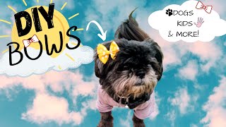 DIY HAIR BOW  DIY Bow {Hand Sew, No Sew} (For Your Dog or Yourself!) ~Pomchi Productions