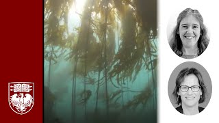 Seeing the Microbes through the (Kelp) Forest: Jessica Mark Welch & Catherine Pfister Harper Lecture