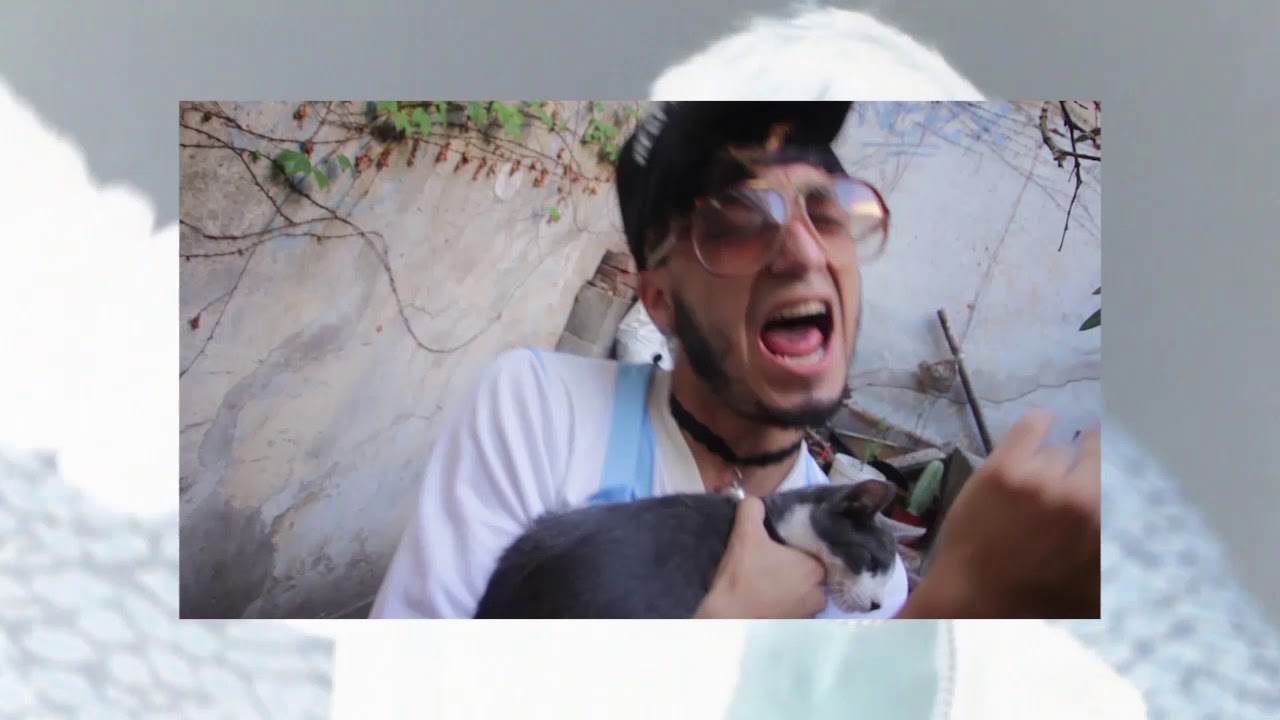 Reskatando gatos BBs 😺 Don Proton