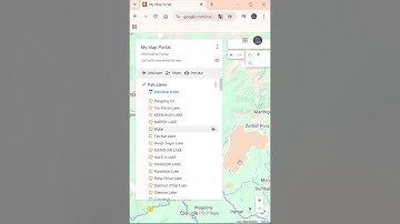 How to Create a Custom Web Map (Pin, Import Data & Share)  #google #map #googlemaps #geography #gis