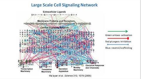 Mount Sinai Biophysics Course Lecture - Part 1