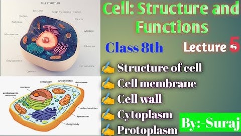 Cell Structure and Functions /Parts of Cell /NCERT Science Class 8/ Science By Suraj