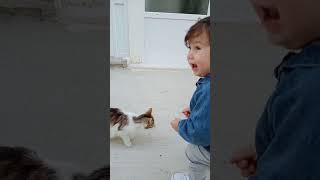 Miyav miyav der cici kedicik😺 #keşfet #youtube #kapadokya #ürgüp #kediler #animals #eğlence