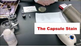 The capsule stain