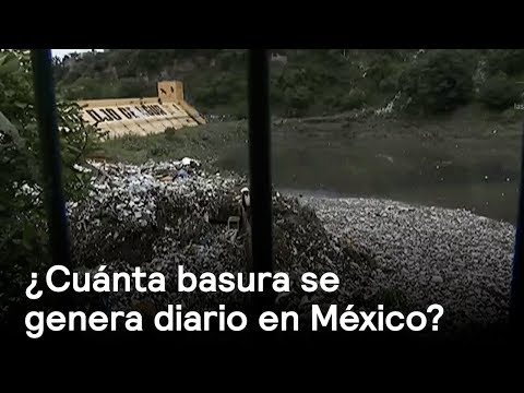 117 mil toneladas de basura se generan a diario en México - Las noticias con Danielle