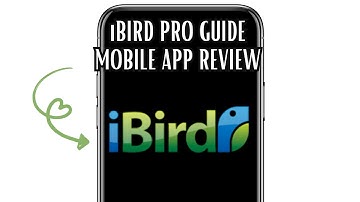 iBIRD PRO GUIDE MOBILE APP REVIEW - IS IT WORTH IT?
