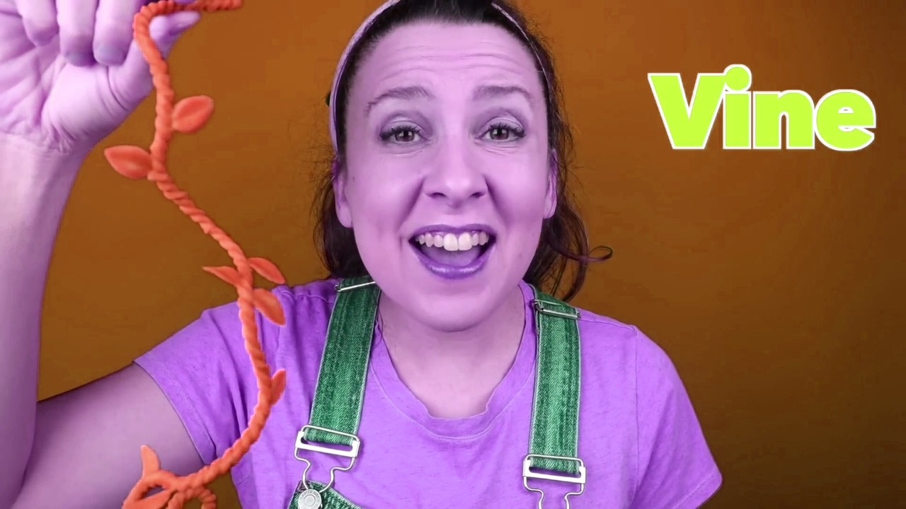 Ms Rachel Green Vine/Sponsored By:Gamavision Csupo Effects