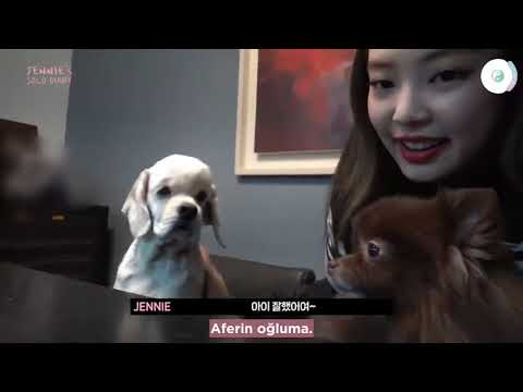 JENNIE - 'SOLO' GÜNLÜĞÜ | BÖLÜM 4-3  [Türkçe Altyazı]