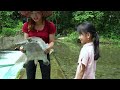 [TIMELAPSE] How To Fishing In A Small Stream, Fishing With Nets, Caught Big Turtle 15kg